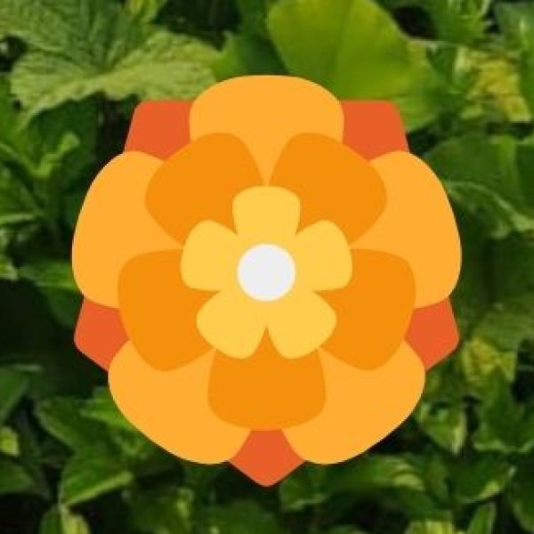 Best Stay Areas for Solo Women Travelers: