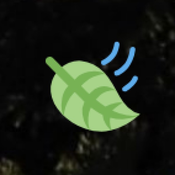 Hotel & Accommodation Safety