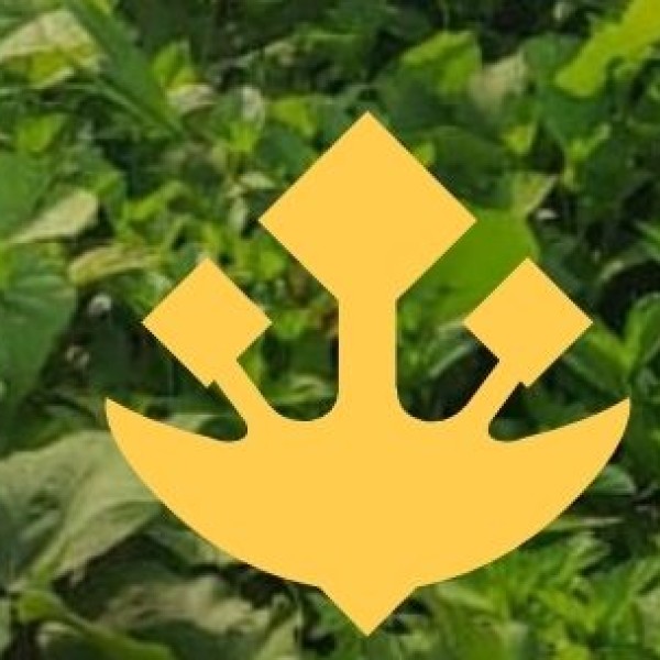 Communication & Connectivity