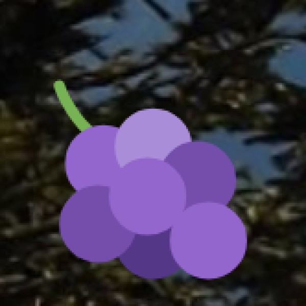 General Safety Tips in Kadapa