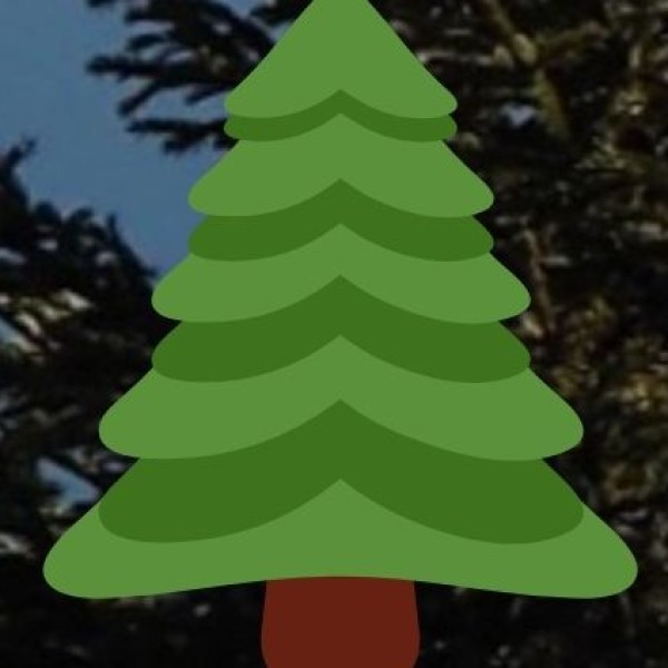 Trekking & Wildlife Safety