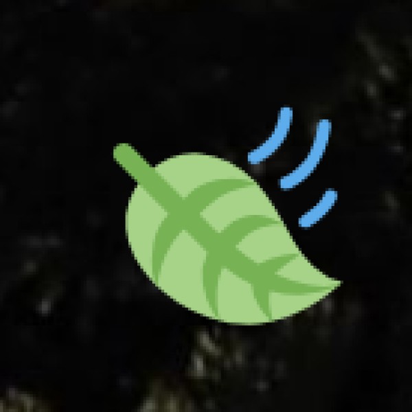 Transportation Safety