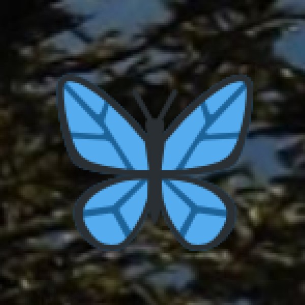 Connectivity & Internet