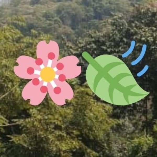 Quick Tirupur Safety Checklist