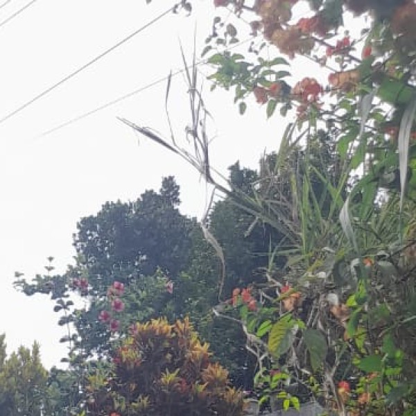 Travel Tips & Safety