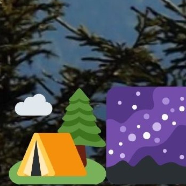 Final Travel Safety Checklist