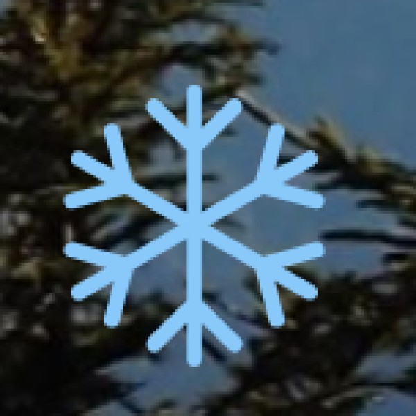 Cultural & Temple Etiquette