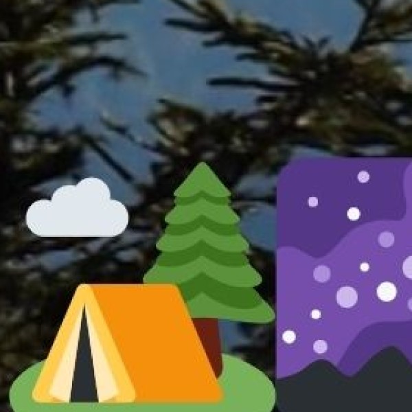 Festival & Nightlife Safety