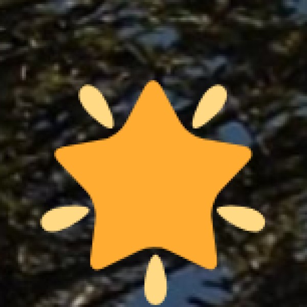 Tourist Safety at Attractions & Markets