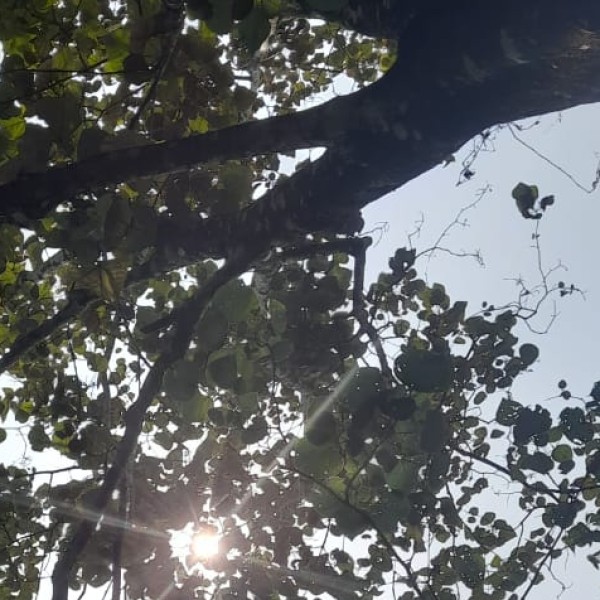 Travel Tips & Safety