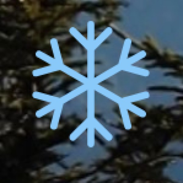 Shopping & Bargaining Tips