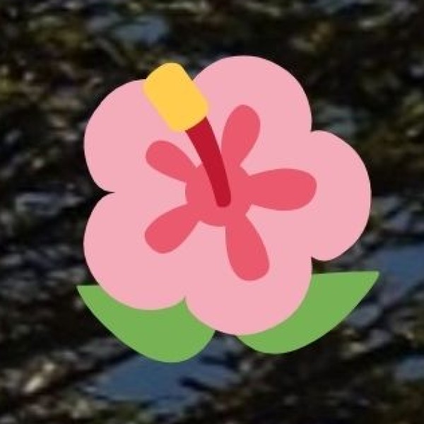 Best Stay Areas for Solo Women Travelers: