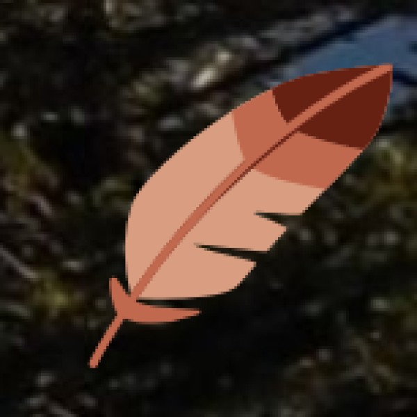 Shopping & Money Safety