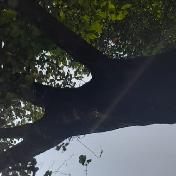 Travel Tips & Safety