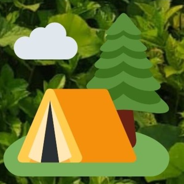 Crime & Personal Safety