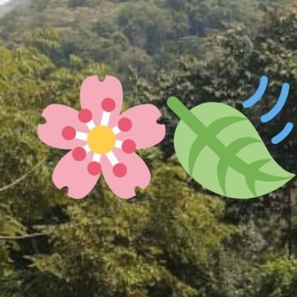 Health & Hygiene Tips