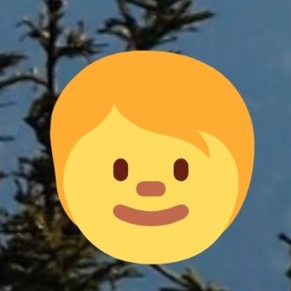 Hotel & Accommodation Safety