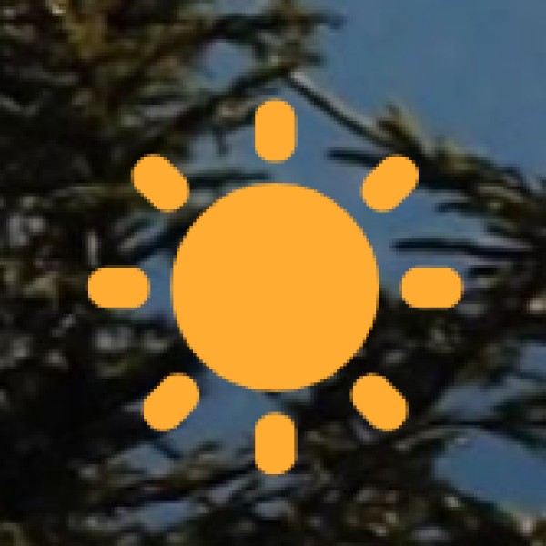 Emergency Contact Numbers: