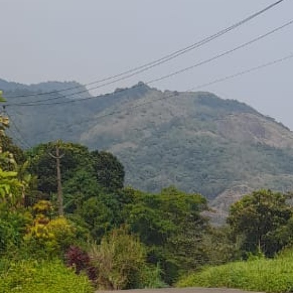 Travel Tips & Safety