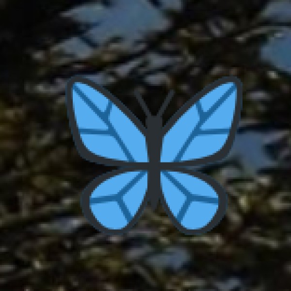 Nearest Hospitals in Shivamogga: