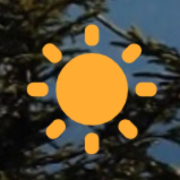 Transport & Road Safety Tips