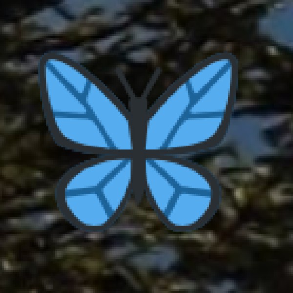 Women & Solo Travel Safety