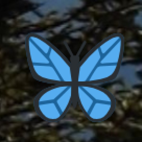 Extra Travel Tips for Tourists