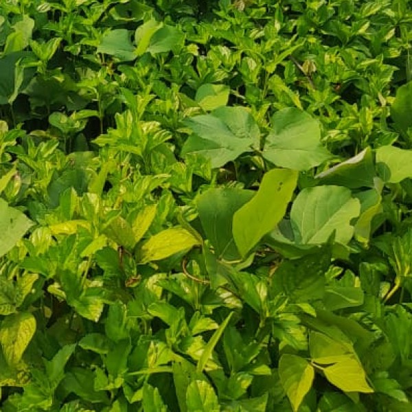 Travel Tips & Safety