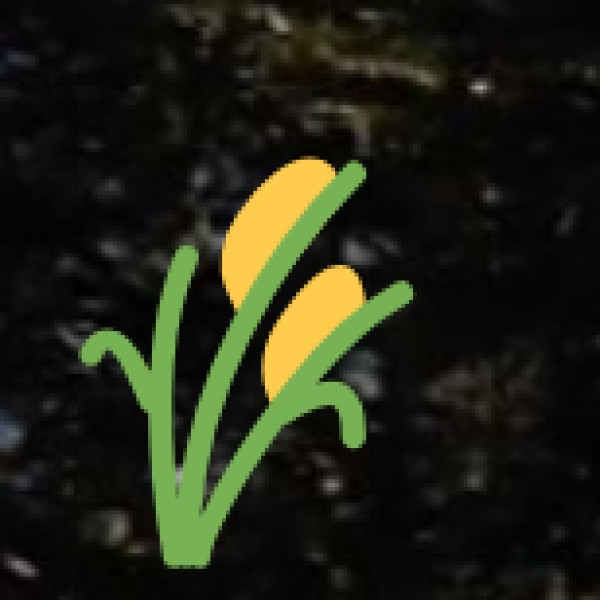 Bargaining in Local Markets