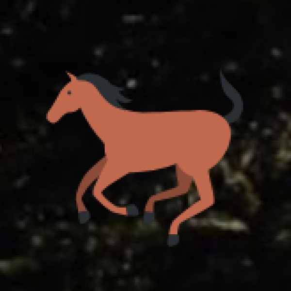 Transport & Road Safety