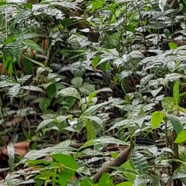 Travel Tips & Safety