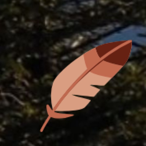 Accommodation & Stay Tips