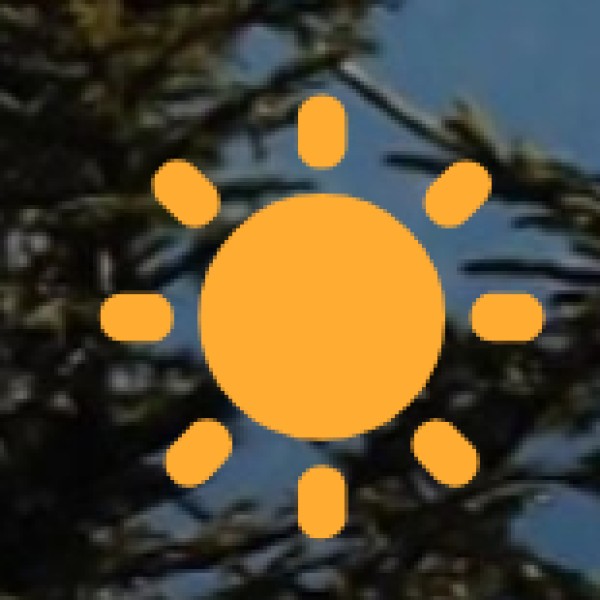 Festival & Nightlife Safety