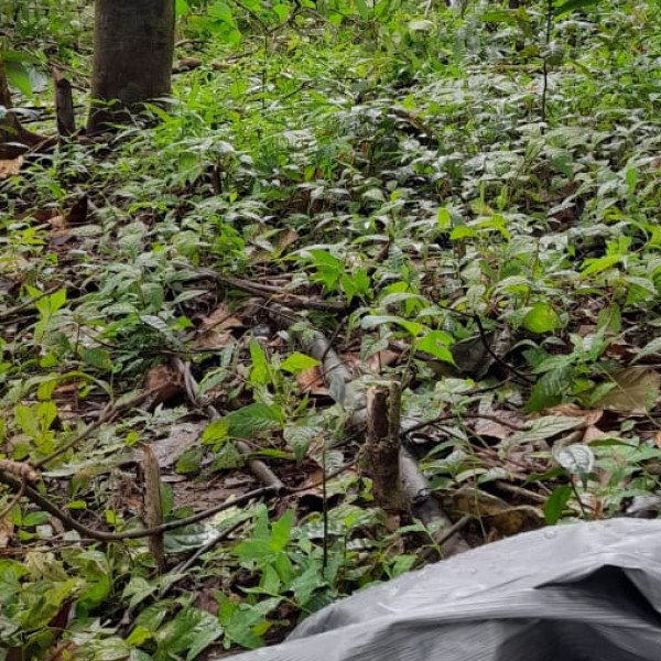 Travel Tips & Safety