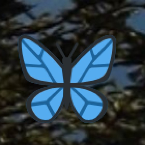 Major Transport Hubs: