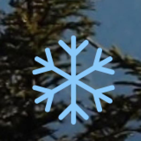 Weather & Packing Tips