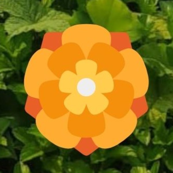 Shopping & Money Safety