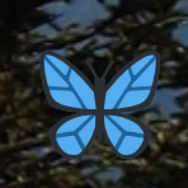 Extra Travel Tips for Tourists