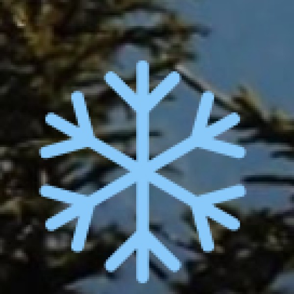 Trekking & Wildlife Safety