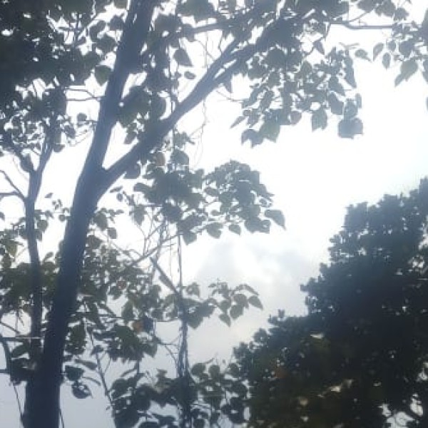 Travel Tips & Safety