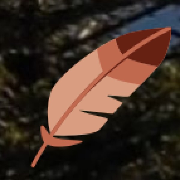 Shopping & Money Safety