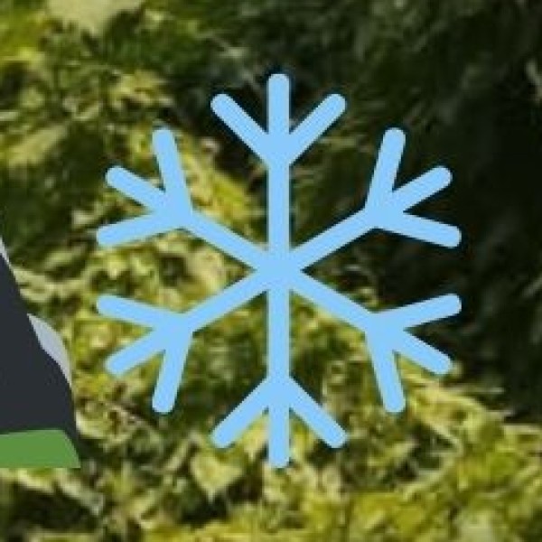 Essential Items to Pack