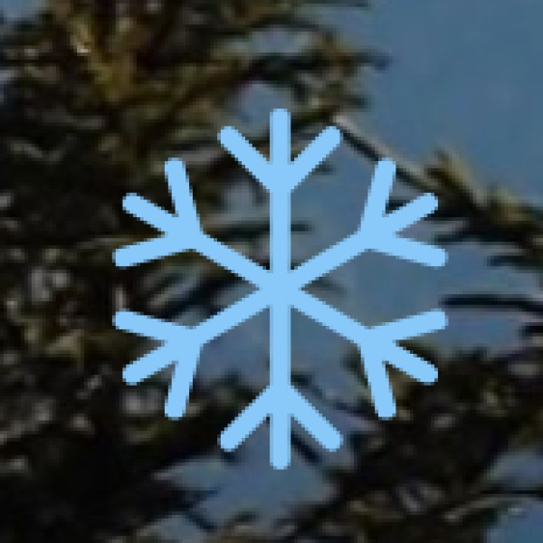 Shopping & Money Safety