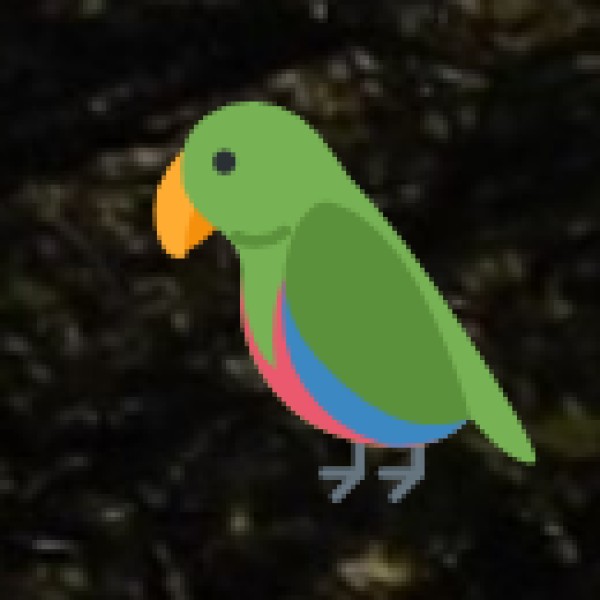 Kolleru Lake & Bird Sanctuary