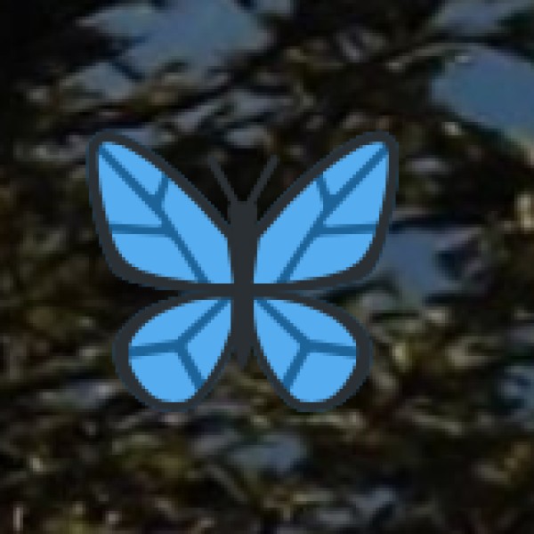 Thirumoorthy Hills & Dam – A Scenic Nature Retreat