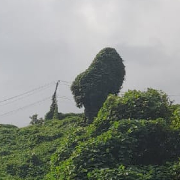 Top Places to Visit in Pasighat