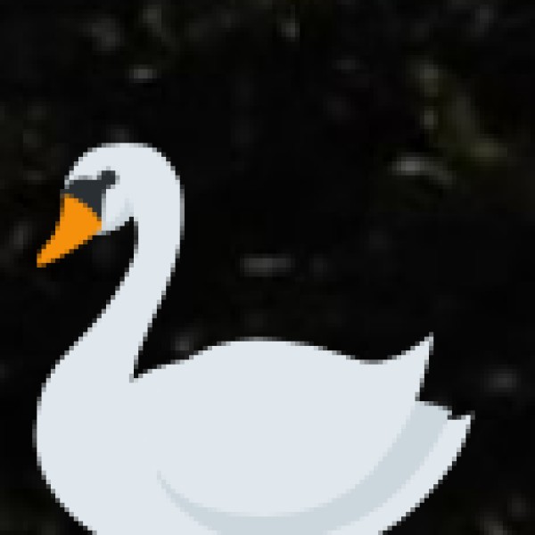 Yercaud Hill Station – The Jewel of Salem