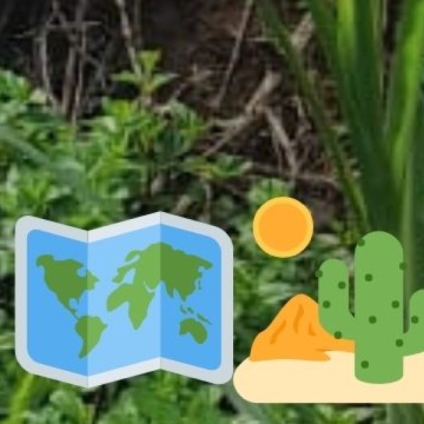 Best Attractions in Davangere