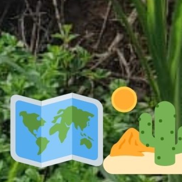 Unique Cultural Experiences in Nellore