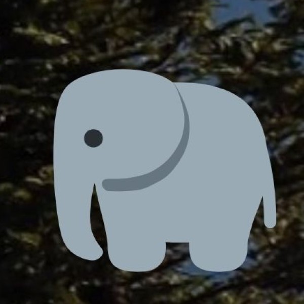 Sakrebailu Elephant Camp